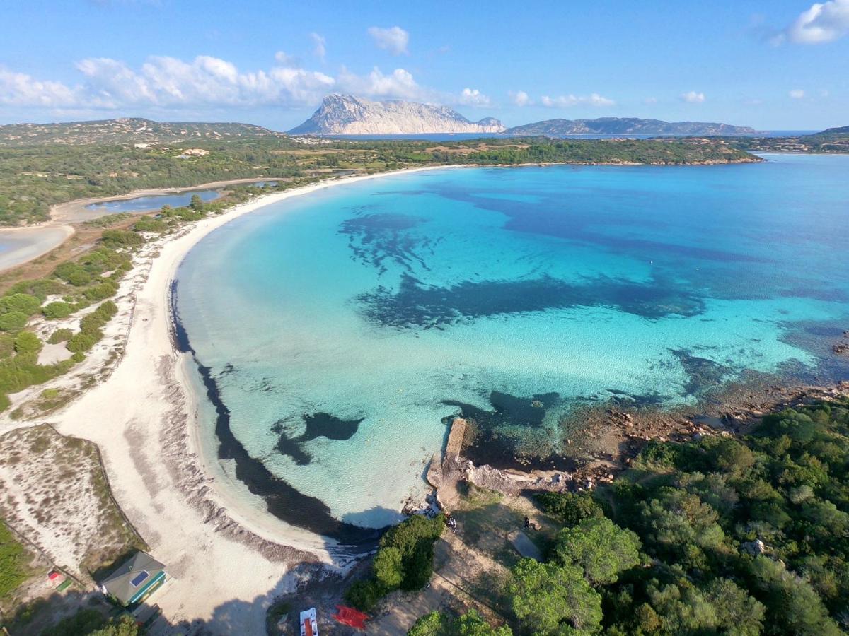 Iss Travel, Gli Asfodeli - Large Apartments With Private Terrace San Teodoro  Exterior photo