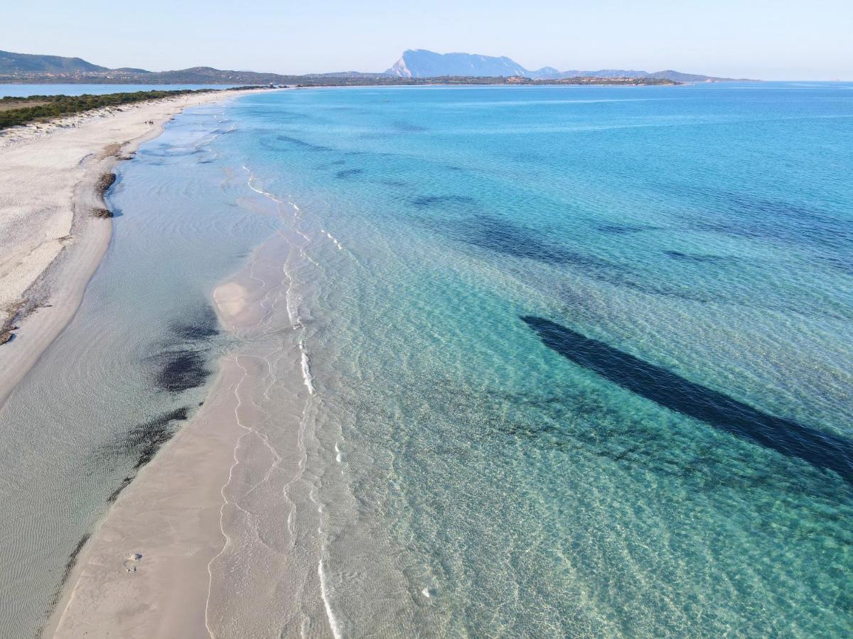 Iss Travel, Gli Asfodeli - Large Apartments With Private Terrace San Teodoro  Exterior photo